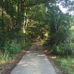 Wald